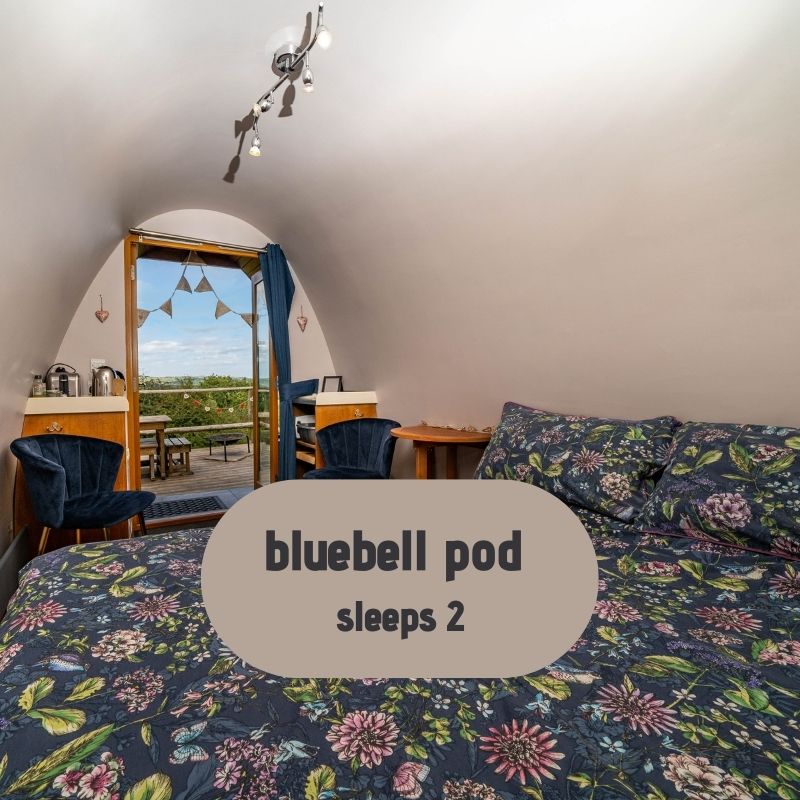 Bluebell Pod - Couples Glamping Peak District Derbyshire