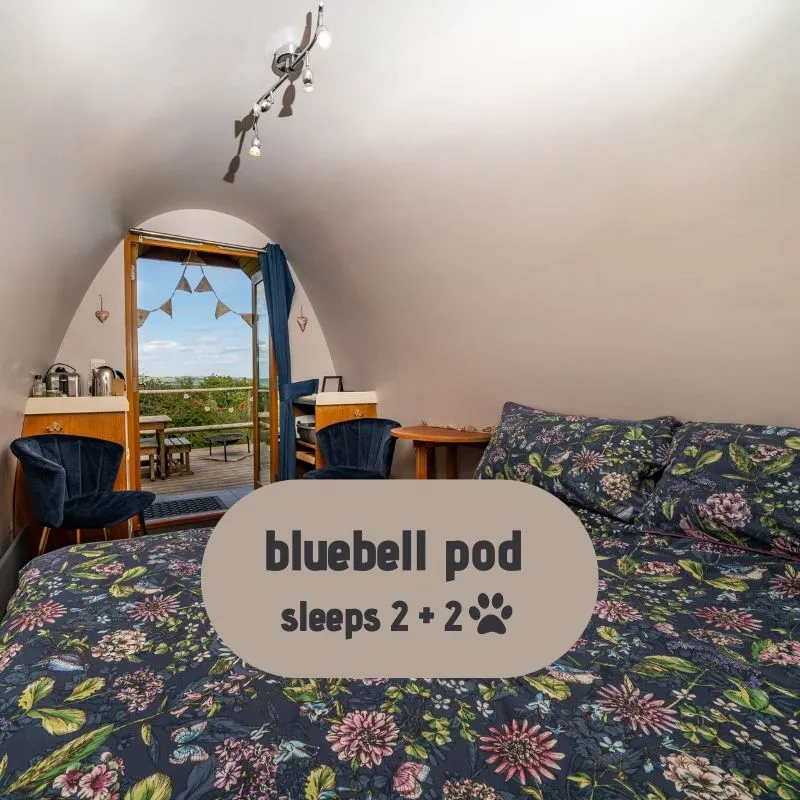 Bluebell Pod - Couples Glamping Peak District Derbyshire
